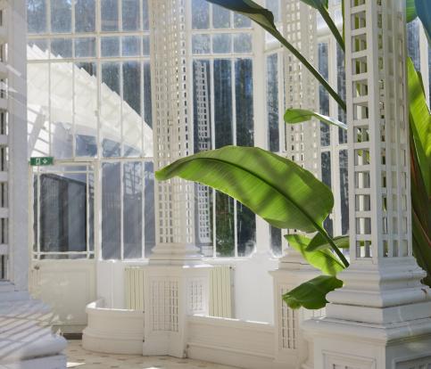 Guide du Musée Albert-Kahn & Jardins | Hôtel Le Parchamp